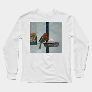 Fatball & Robin, February 2021 Long Sleeve T-Shirt